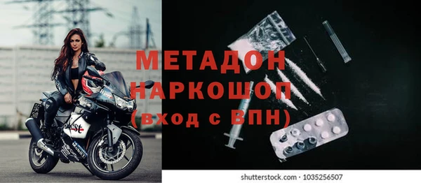 ГАЛЛЮЦИНОГЕННЫЕ ГРИБЫ Корсаков