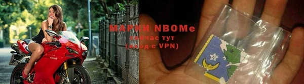 крисы Коряжма