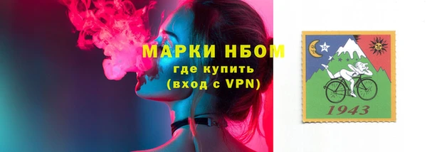 ГАЛЛЮЦИНОГЕННЫЕ ГРИБЫ Корсаков