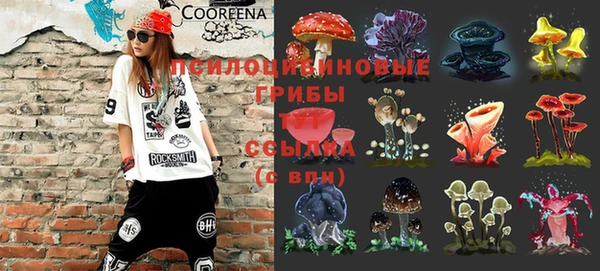 таблы Кодинск