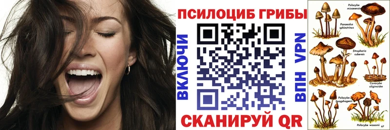 Псилоцибиновые грибы мицелий  как найти   Котово 